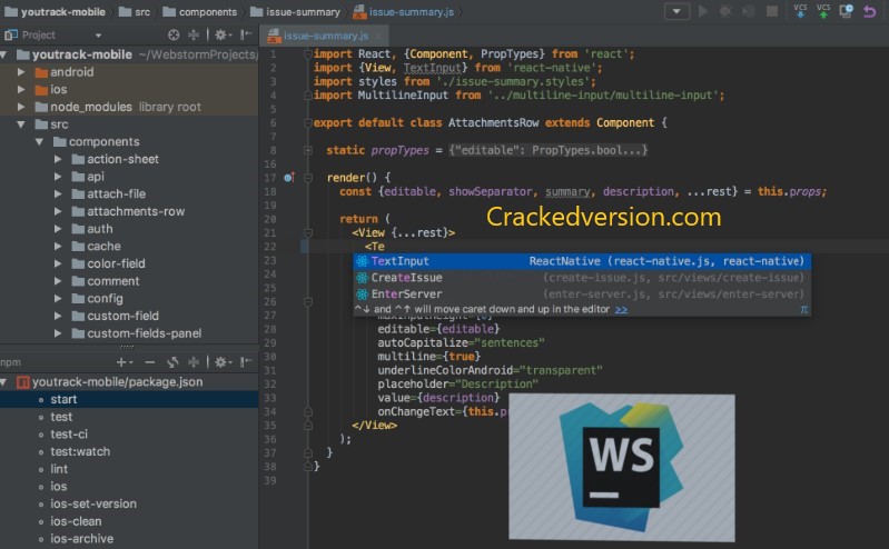 WebStorm Crack Full License Key